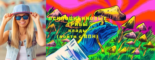 ПСИЛОЦИБИНОВЫЕ ГРИБЫ Белокуриха