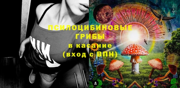 ПСИЛОЦИБИНОВЫЕ ГРИБЫ Белокуриха