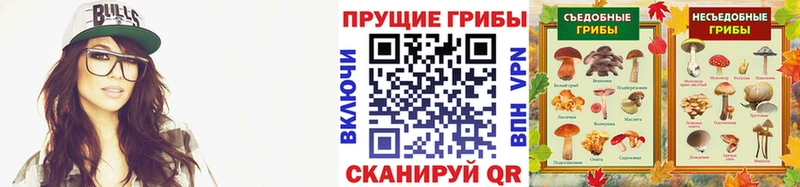 Псилоцибиновые грибы ЛСД  наркота  Городец 